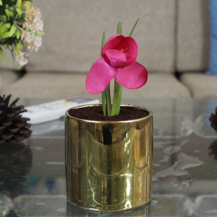 Garden Planters Wonderland | Golden Ceramic Pot (Inside-Black)