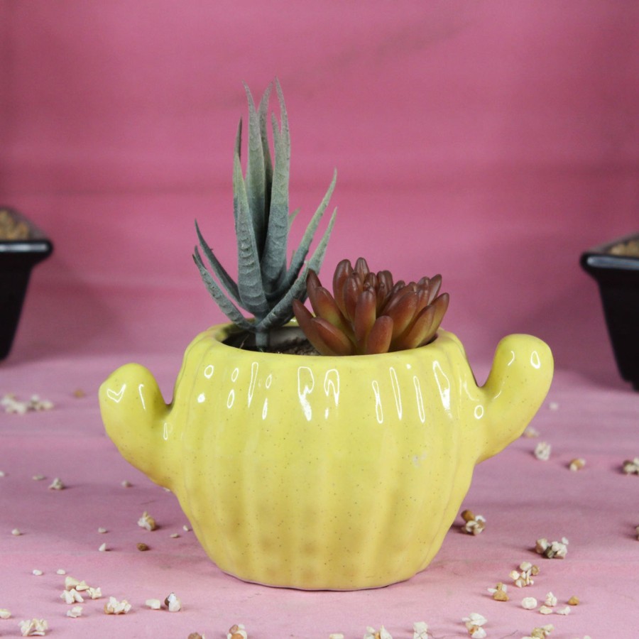 Garden Planters Wonderland | Cactus Shape Ceramic Planter For Home And Garden Decoration (Yellow)