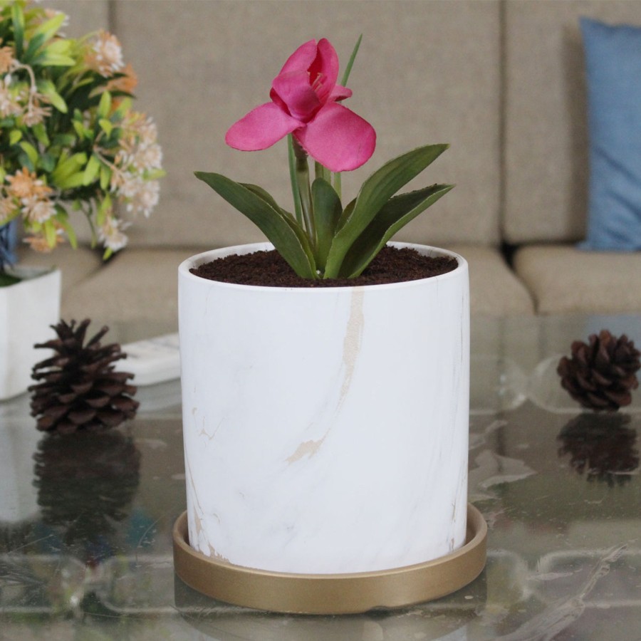 Garden Planters Wonderland | Ceramic White Marble Pot With Plate