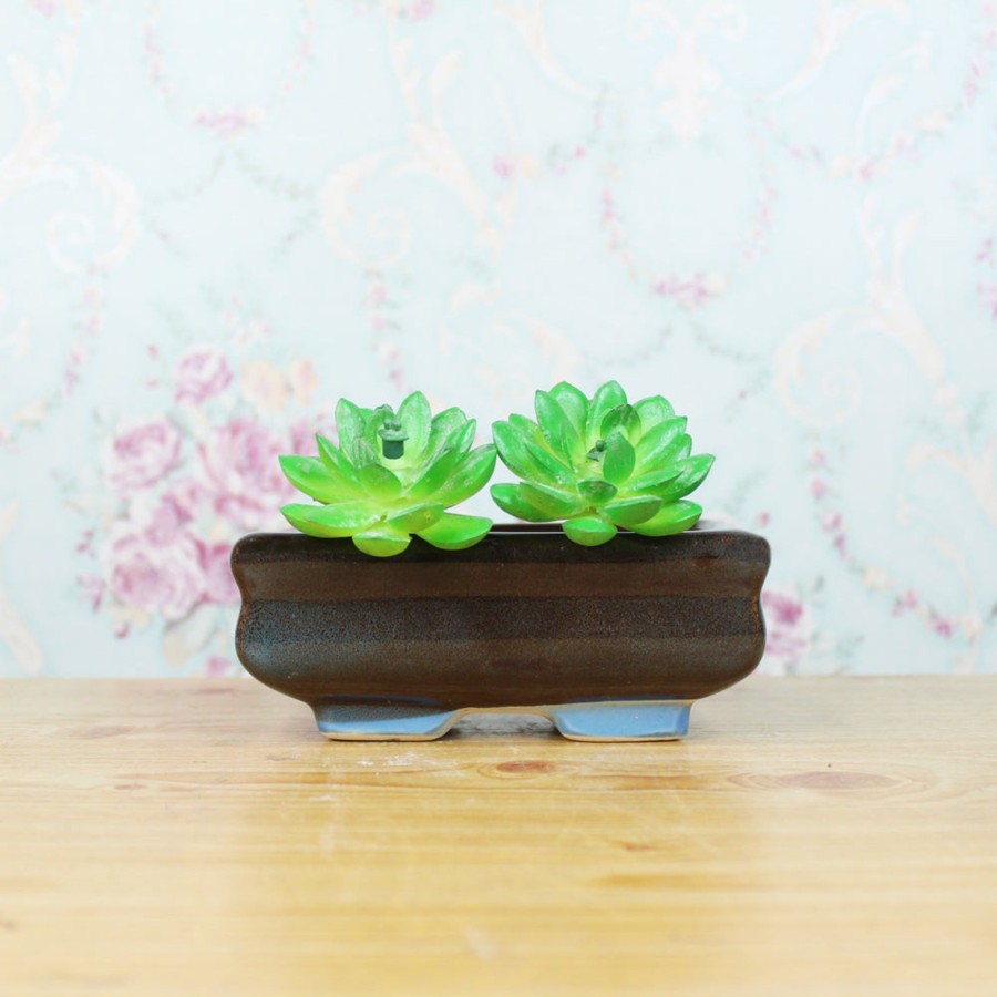 Garden Planters Wonderland | Ceramic Small Bonsai Tray For Home Decoration (Blue)