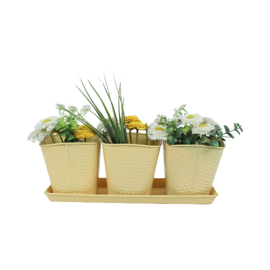 Garden Planters Wonderland | (Set Of 3) Dot Pots With Tray For Home Decoration (Beige)