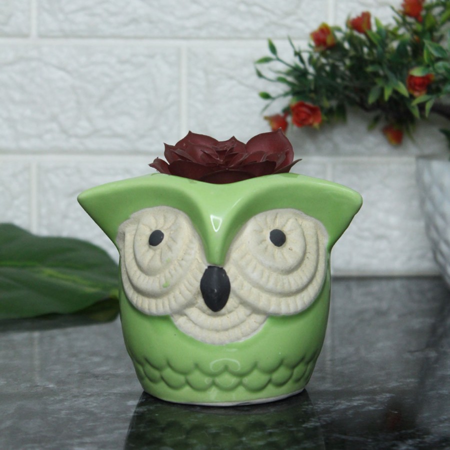 Garden Planters Wonderland | Big Eyes Owl Green Ceramic Succulent Pot For Home Decoration