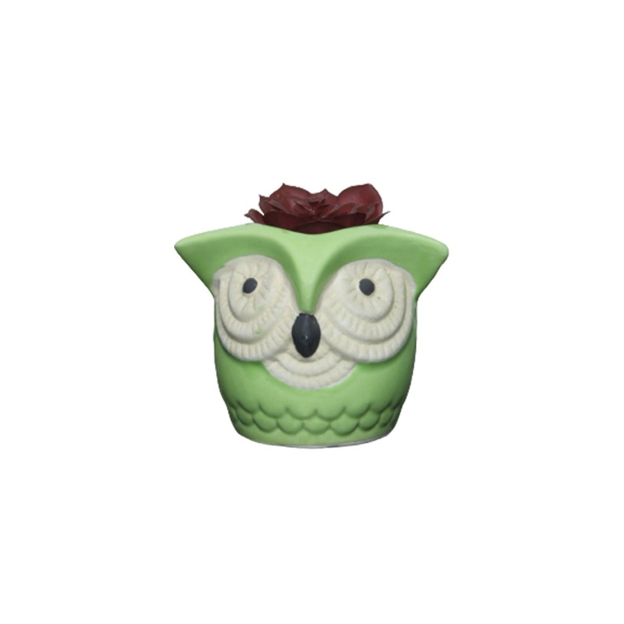 Garden Planters Wonderland | Big Eyes Owl Green Ceramic Succulent Pot For Home Decoration