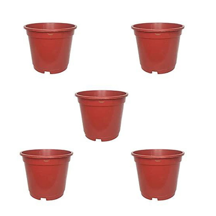 Garden Planters Wonderland | 8 Inch Set Of 5 Plastic Pots For Outdoor ( Plastic Pots For Home Plants) (Teracotta)