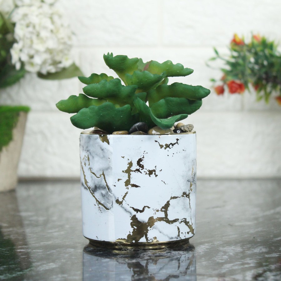 Artificial Turf Plants Wonderland | Artificial Succulent In Ceramic Pot