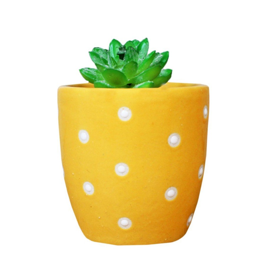 Garden Planters Wonderland | Ceramic Small Dot Pot For Home Decoration (Orange)