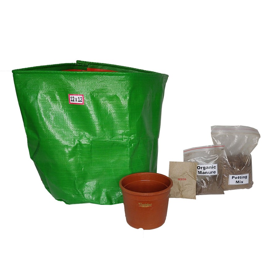 Garden Essentials Wonderland | Grow Yourself Vegetables Fror You Home Starter Diy Kit - Gwar