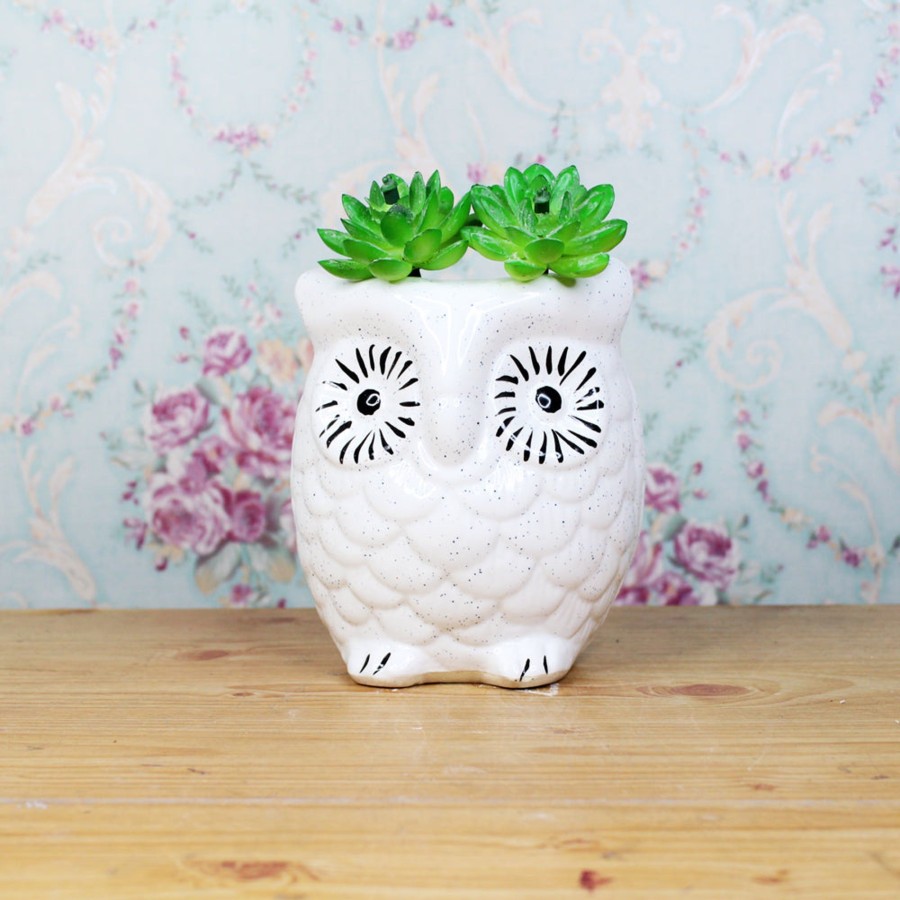 Garden Planters Wonderland | Ceramic New Owl Pot For Home Decoration (White)