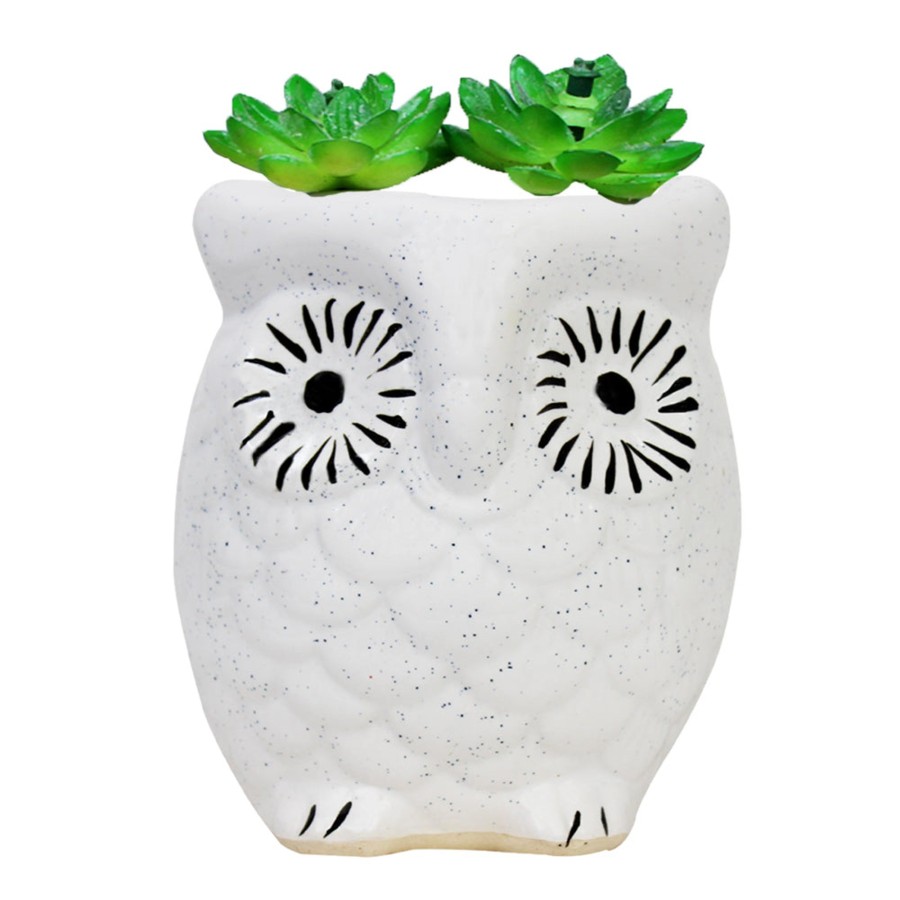 Garden Planters Wonderland | Ceramic New Owl Pot For Home Decoration (White)