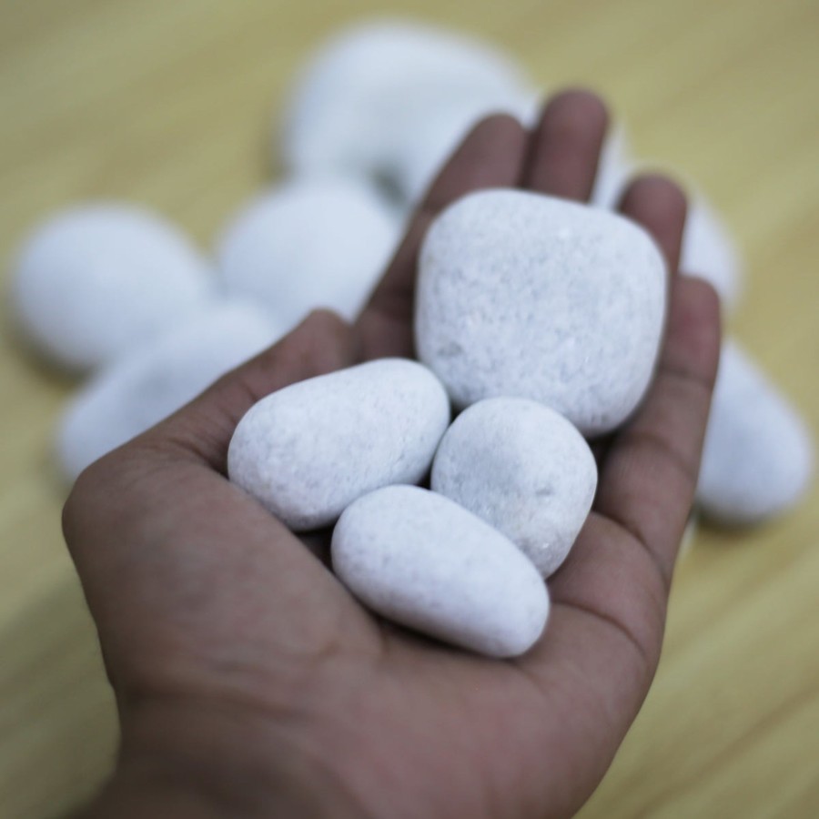 Garden Decor Wonderland Pebbles & Sand | Wonderland Super White Small |Decorative Pebbles|Garden Pebbles|Colored Pebbles|Smooth Pebbles|River Pebbles ( 1 Kg Pack )