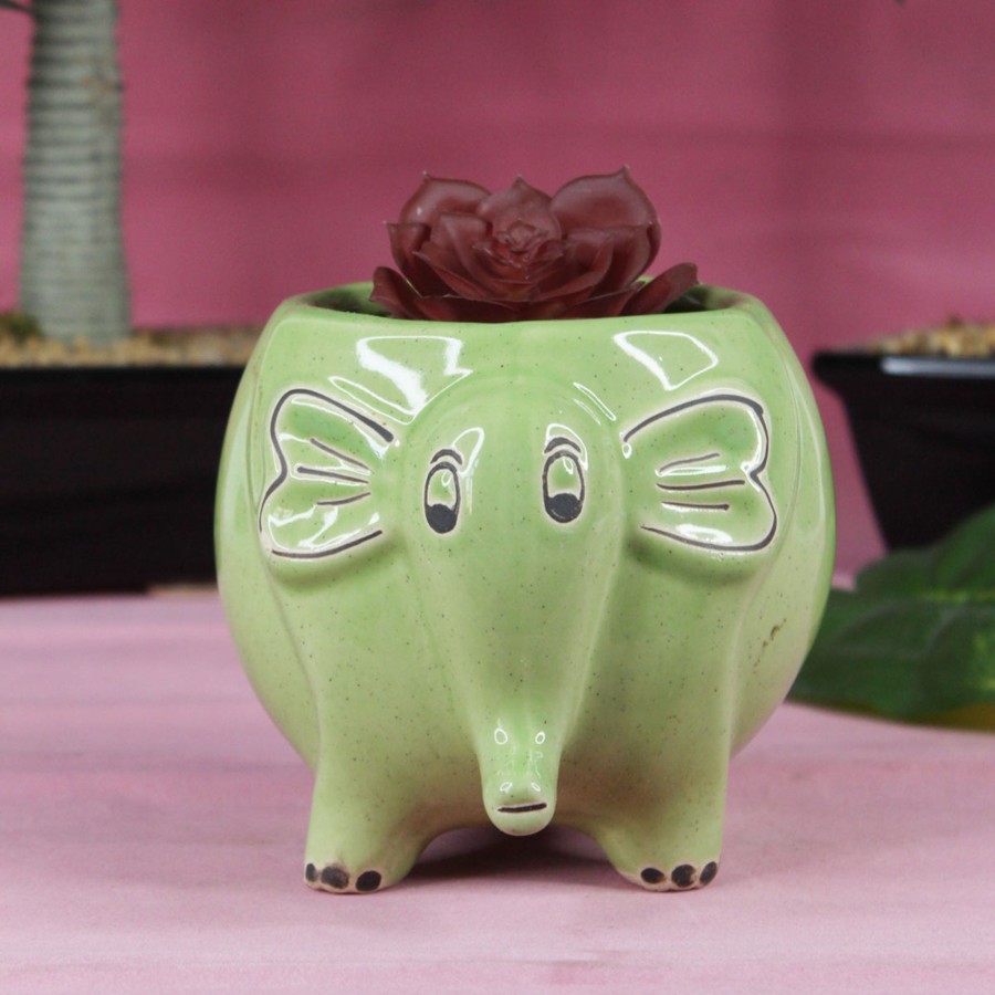 Garden Planters Wonderland | Ceramic Elephant Flower Pot Planter (Green)