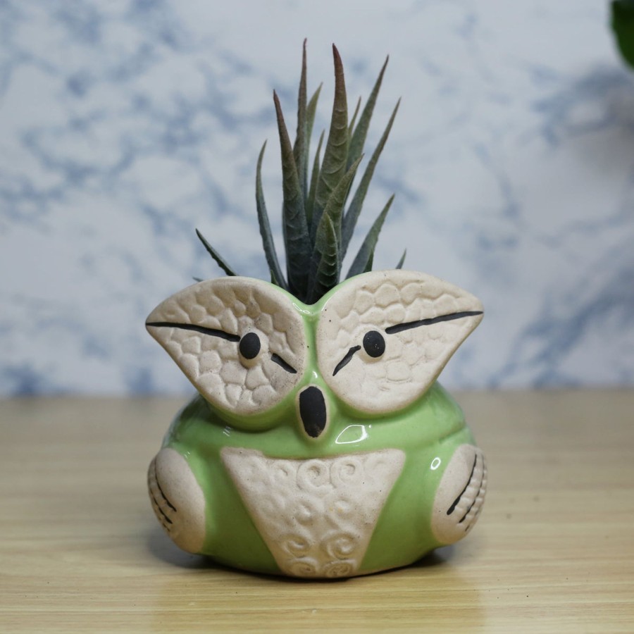 Garden Planters Wonderland | New Owl Ceramic Pot For Home And Garden Decoration (Green)