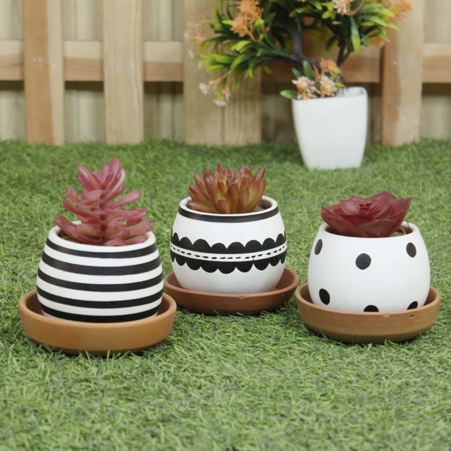 Garden Planters Wonderland | (Set Of 3) 4 Inch Black & White Matka Shape Terracotta Pot.