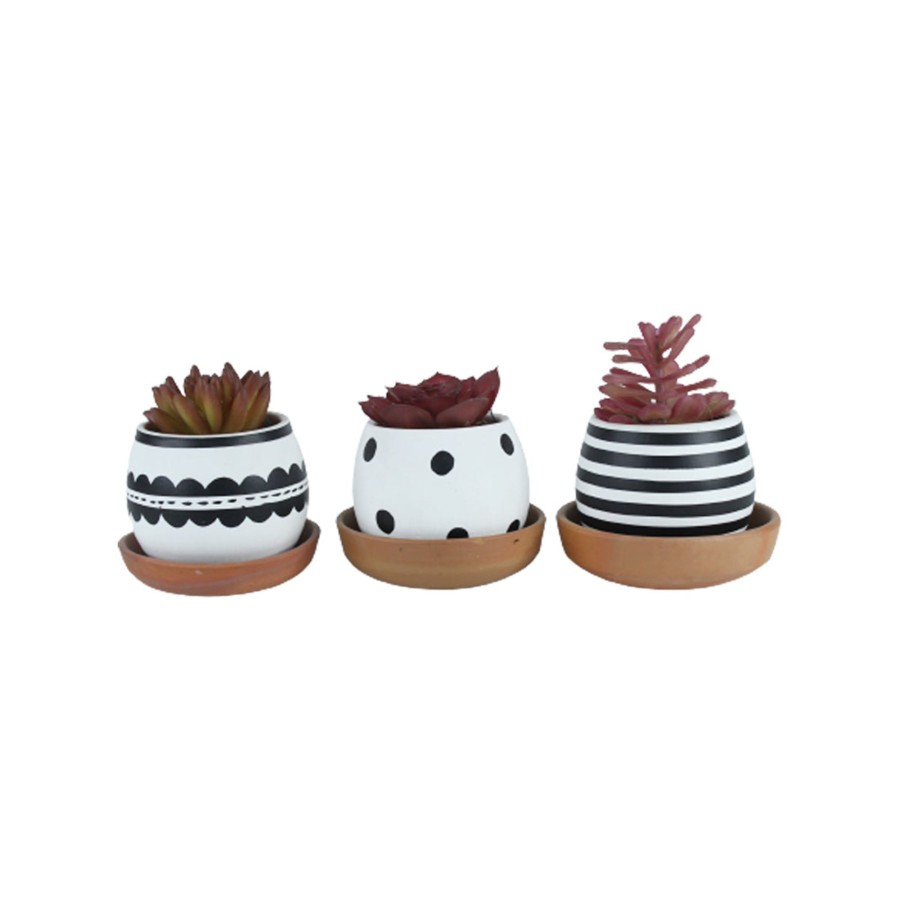 Garden Planters Wonderland | (Set Of 3) 4 Inch Black & White Matka Shape Terracotta Pot.