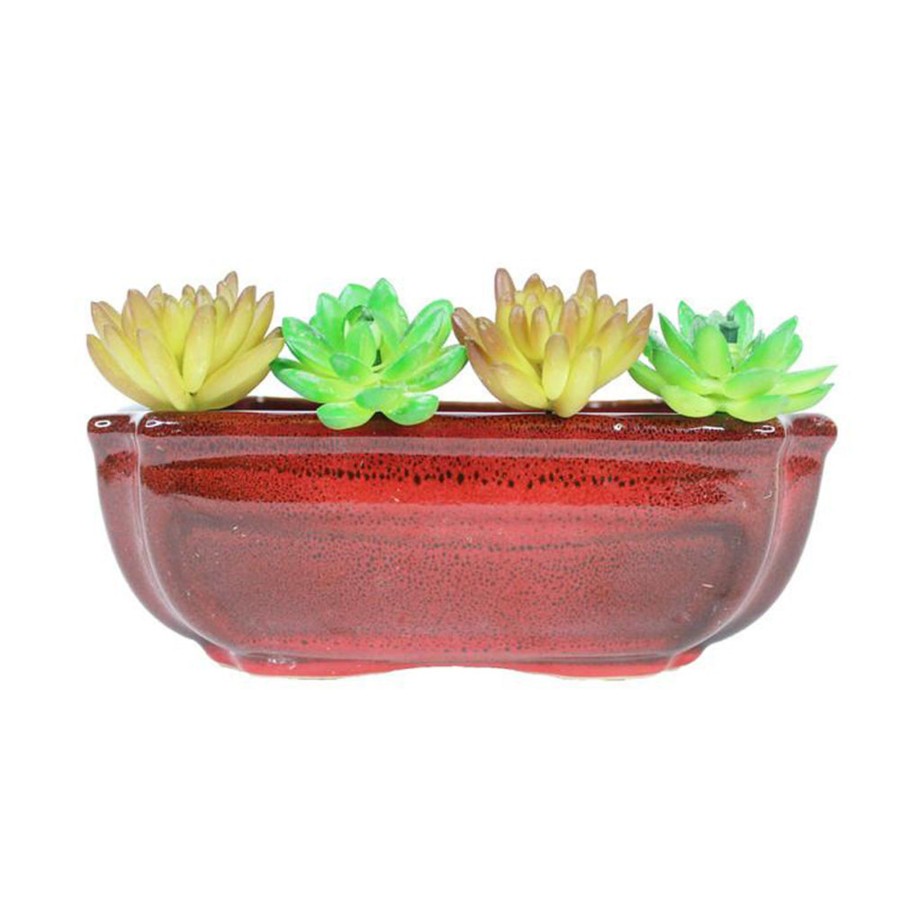 Garden Planters Wonderland | Ceramic Big Bonsai Tray For Home Decoration (Maroon)