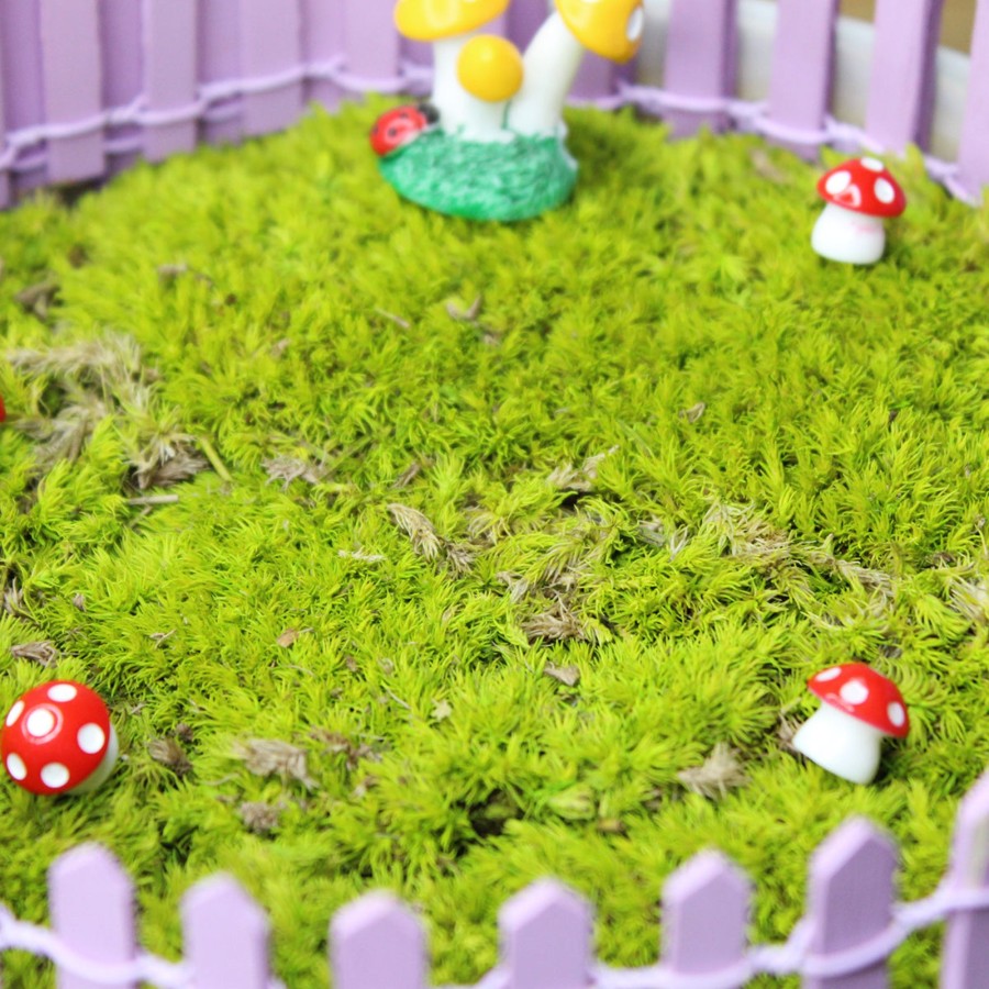 Artificial Turf Plants Wonderland | Dried Moss Bolls For Tray Gardening