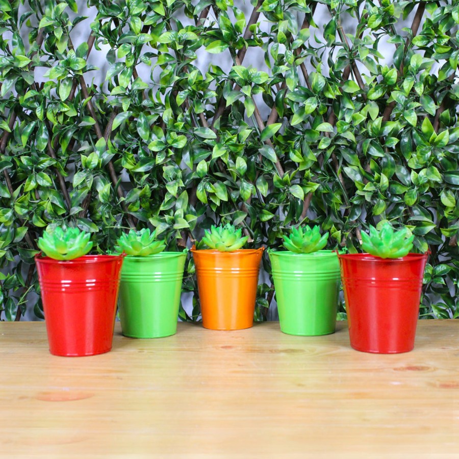 Garden Planters Wonderland | (Set Of 5) Small Bucket Pot For Home And Decoration