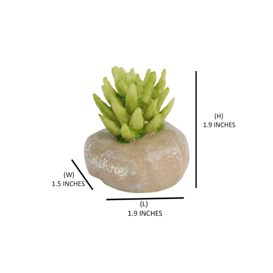 Miniature Fairy Garden Wonderland | Miniature Toy : Set Of 4 Resin Cactus