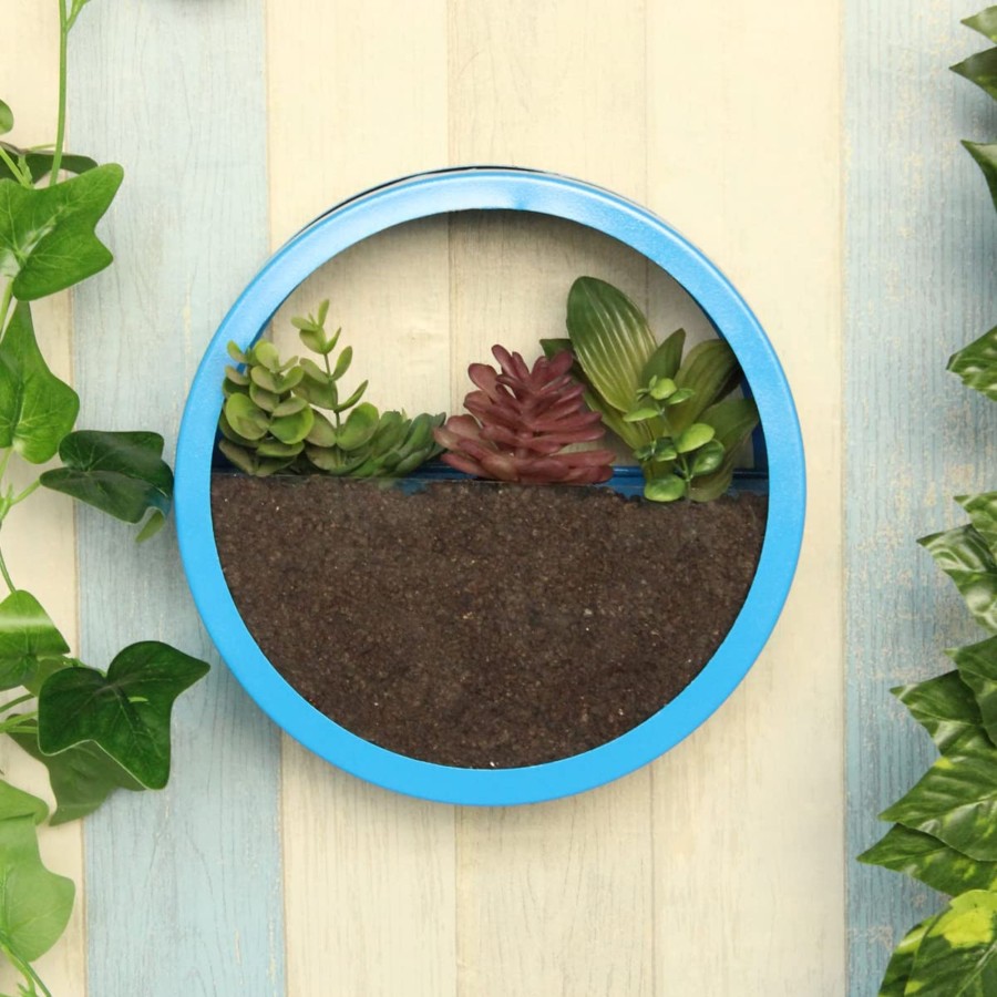 Garden Planters Wonderland | Medium Blue Ring Wall Ring Planter With Glass Front