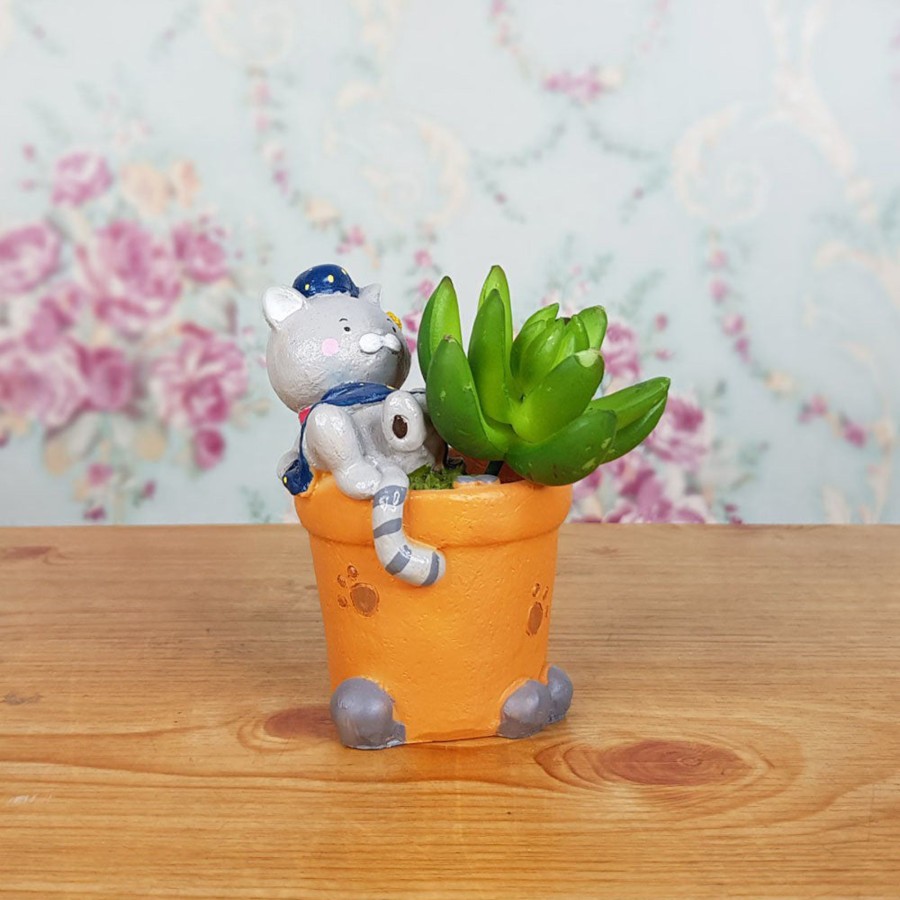 Garden Planters Wonderland | Sleepy Cat Succulent Pot For Home And Balcony Decoration