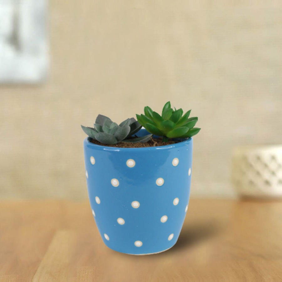 Garden Planters Wonderland | Ceramic Dotted Circular Flower Pot (Blue)