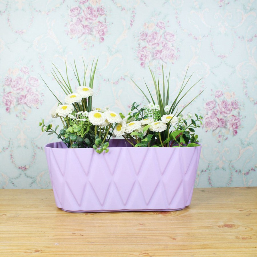 Garden Planters Wonderland | Solitaire Window (Set Of 2) In Purple (Plastic Pots For Home Plants)