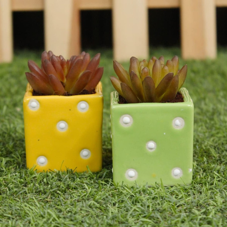 Garden Planters Wonderland Garden Arts and Craft | (Set Of 2) Mini Size Ceramic Square Dice Pots For Succulents