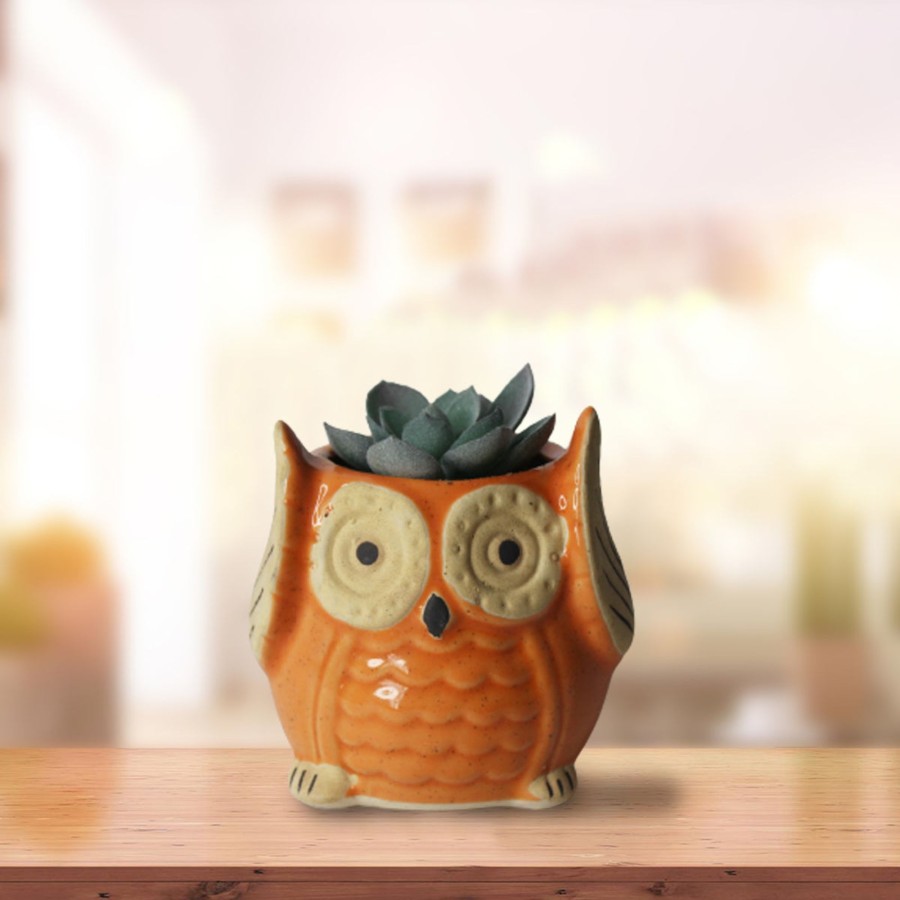 Garden Planters Wonderland Garden Arts and Craft | Ceramic Small Owl Flower Pot (Orange)