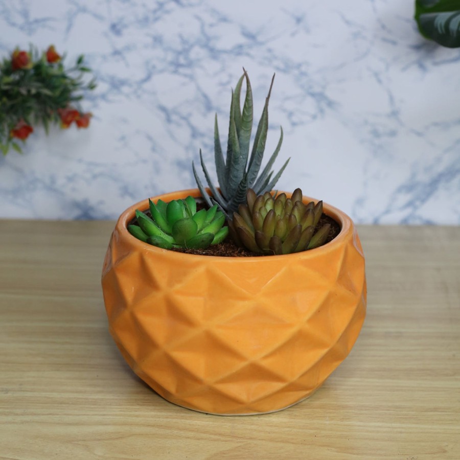 Garden Planters Wonderland | Small Pineapple Ceramic Pot For Home And Garden Decoration (Orange)