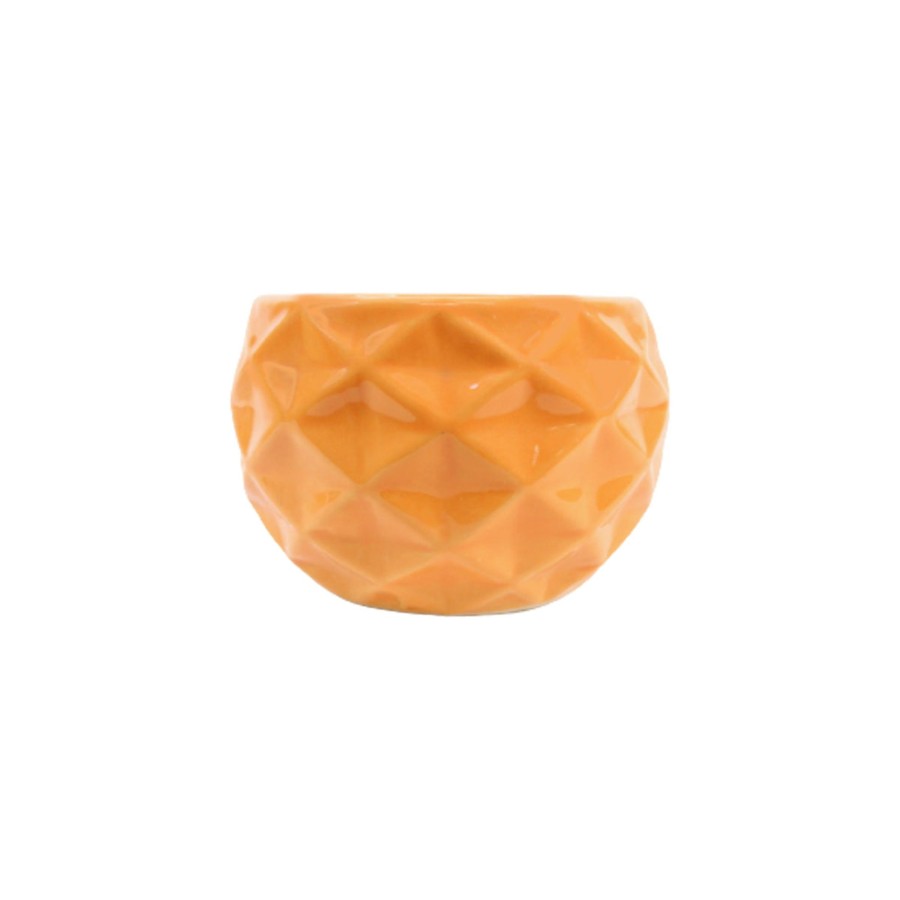 Garden Planters Wonderland | Small Pineapple Ceramic Pot For Home And Garden Decoration (Orange)