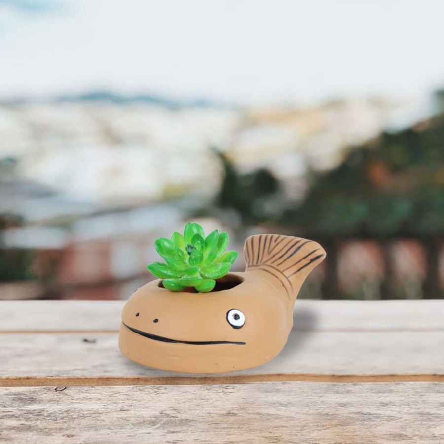 Garden Planters Wonderland | Terracotta Fish Pot For Small Plants & Succulents