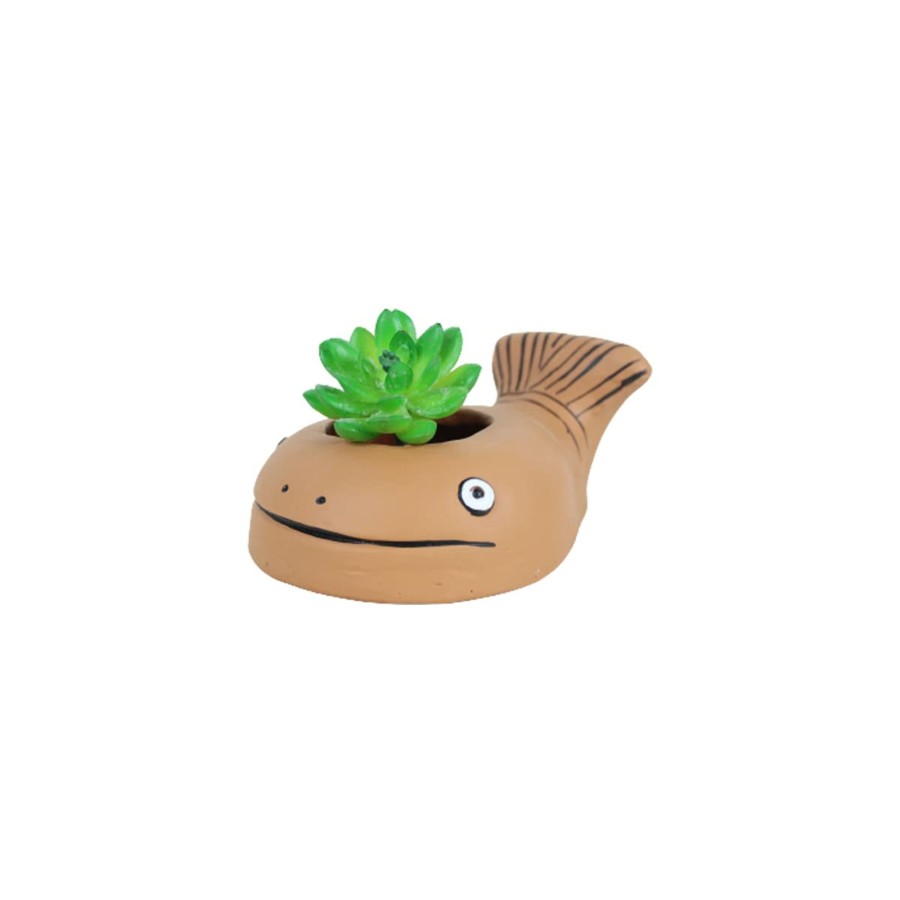 Garden Planters Wonderland | Terracotta Fish Pot For Small Plants & Succulents