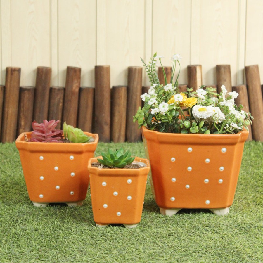 Garden Planters Wonderland | (Set Of 3) Ceramic Conical Pots Flower Pot (Orange)