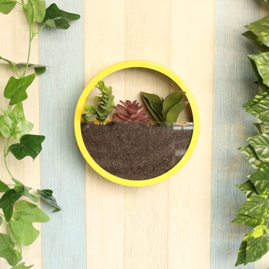 Garden Planters Wonderland | Big Yellow Ring Wall Ring Planter With Glass Front