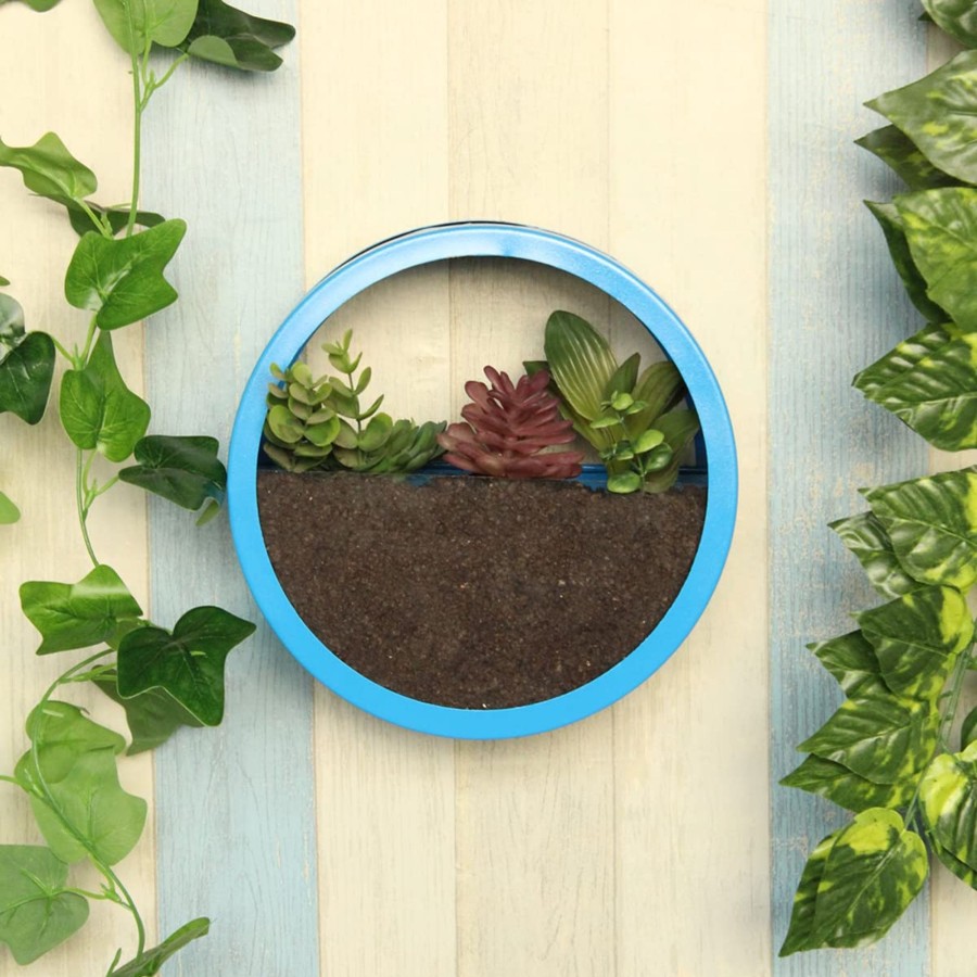 Home Decor Wonderland Wall Shelf | Small Blue Wall Ring Planter With Glass Front