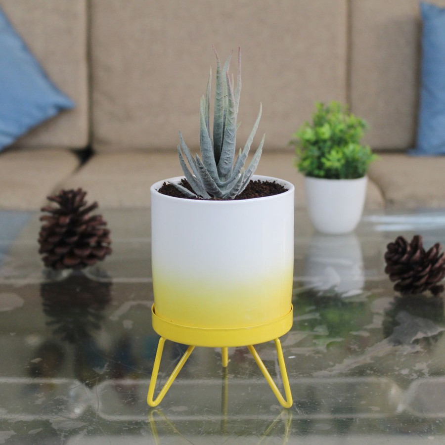 Garden Planters Wonderland | Yellow Flame Pot With Stand