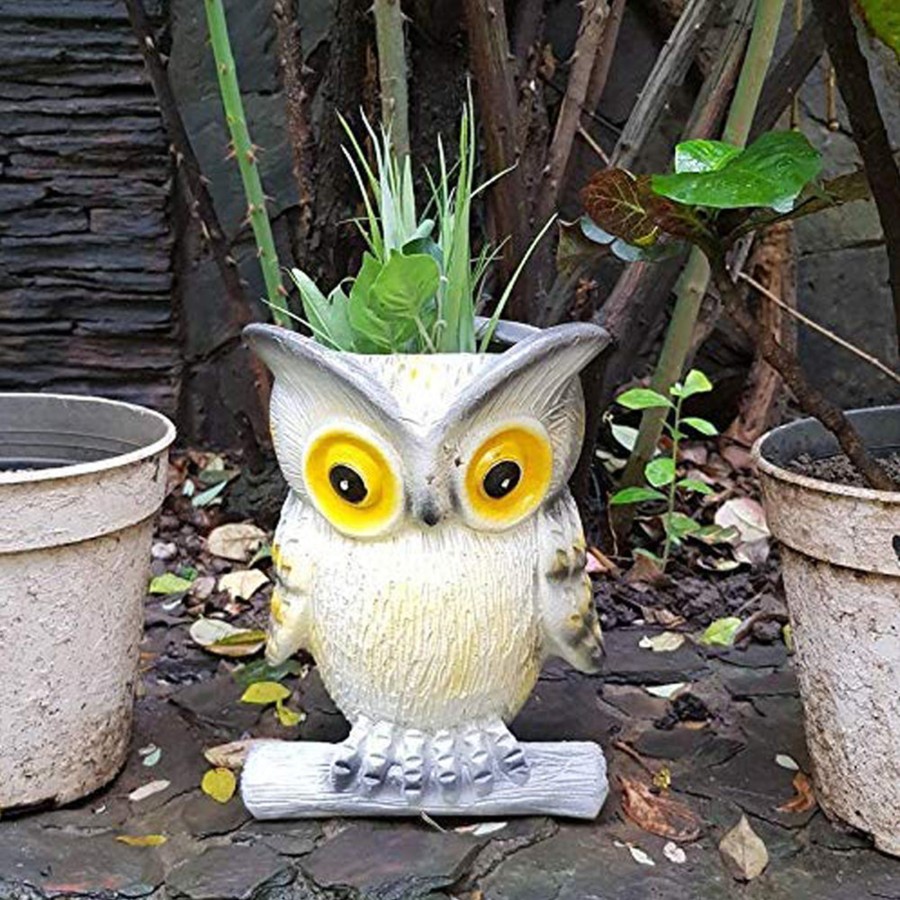 Garden Planters Wonderland | Owl Planter For Garden And Balcony Decoration