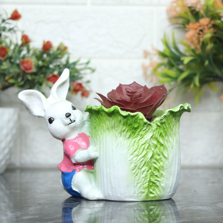 Garden Planters Wonderland | Bunny With Cabbage Succulent Pot For Home And Balcony Decoration