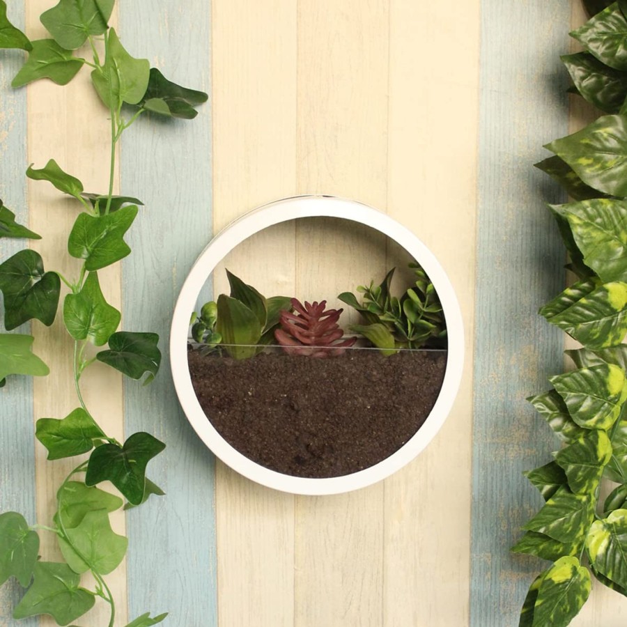 Garden Planters Wonderland | Medium White Wall Ring Planter With Glass Front