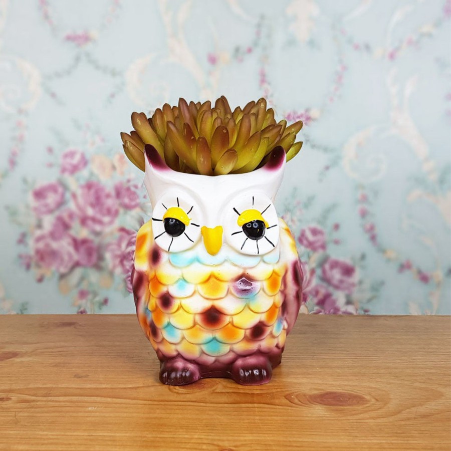 Garden Planters Wonderland | New Owl Succulent Pot For Home And Balcony Decoration