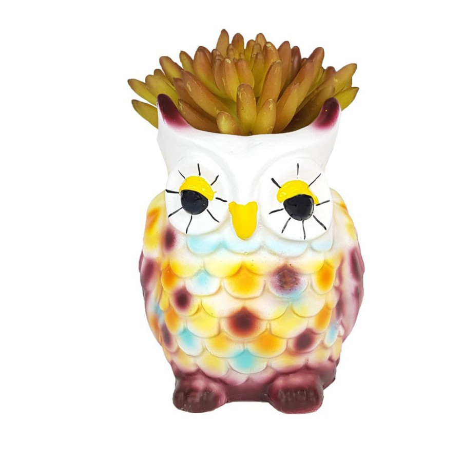 Garden Planters Wonderland | New Owl Succulent Pot For Home And Balcony Decoration