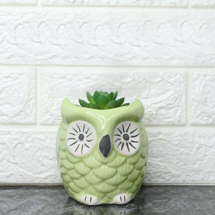 Garden Planters Wonderland Garden Arts and Craft | Ceramic Planters New Owl Pot (Green)