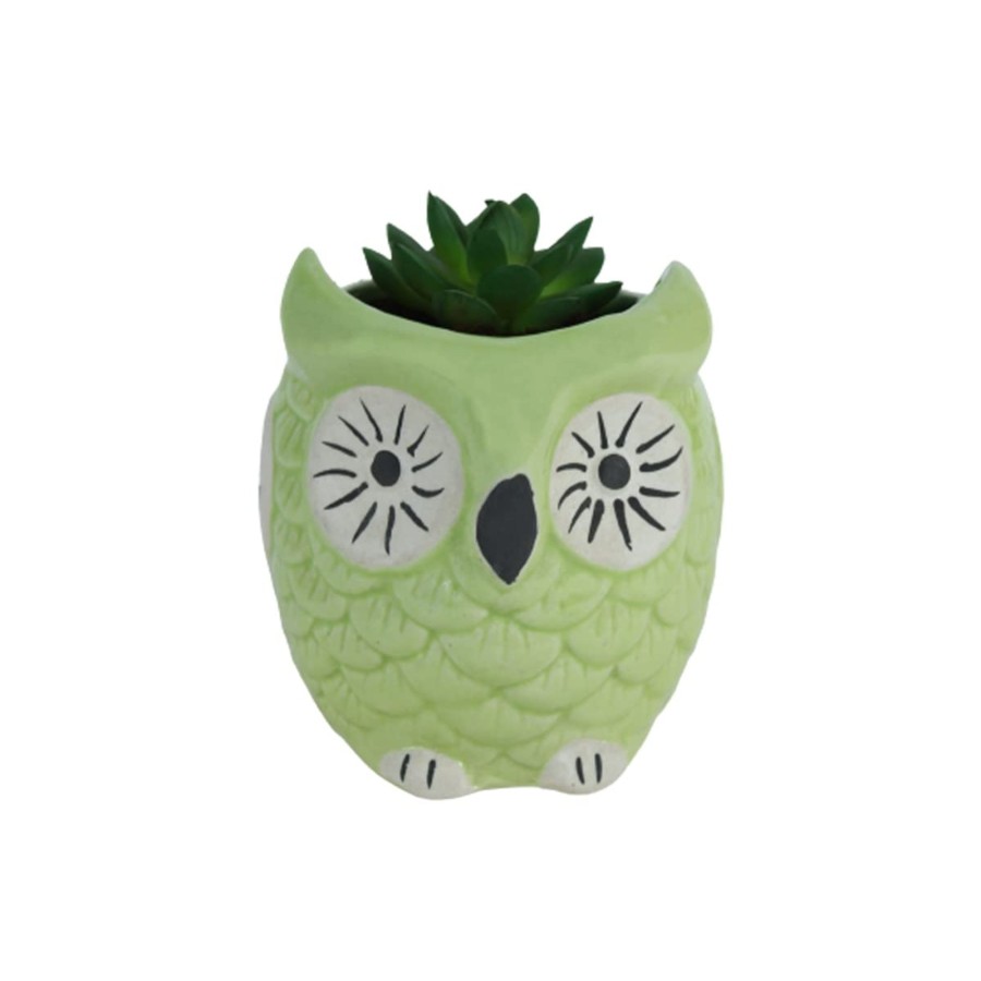 Garden Planters Wonderland Garden Arts and Craft | Ceramic Planters New Owl Pot (Green)