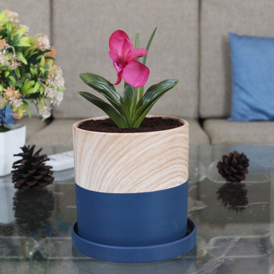 Garden Planters Wonderland | Ceramic Double Coloured Pot With Plate-1