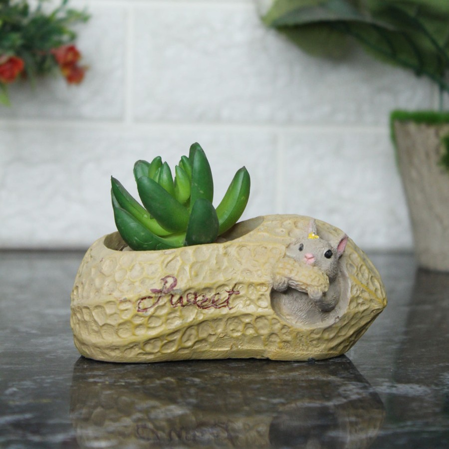 Garden Planters Wonderland | Peanut Succulent Pot For Home And Garden Decoration