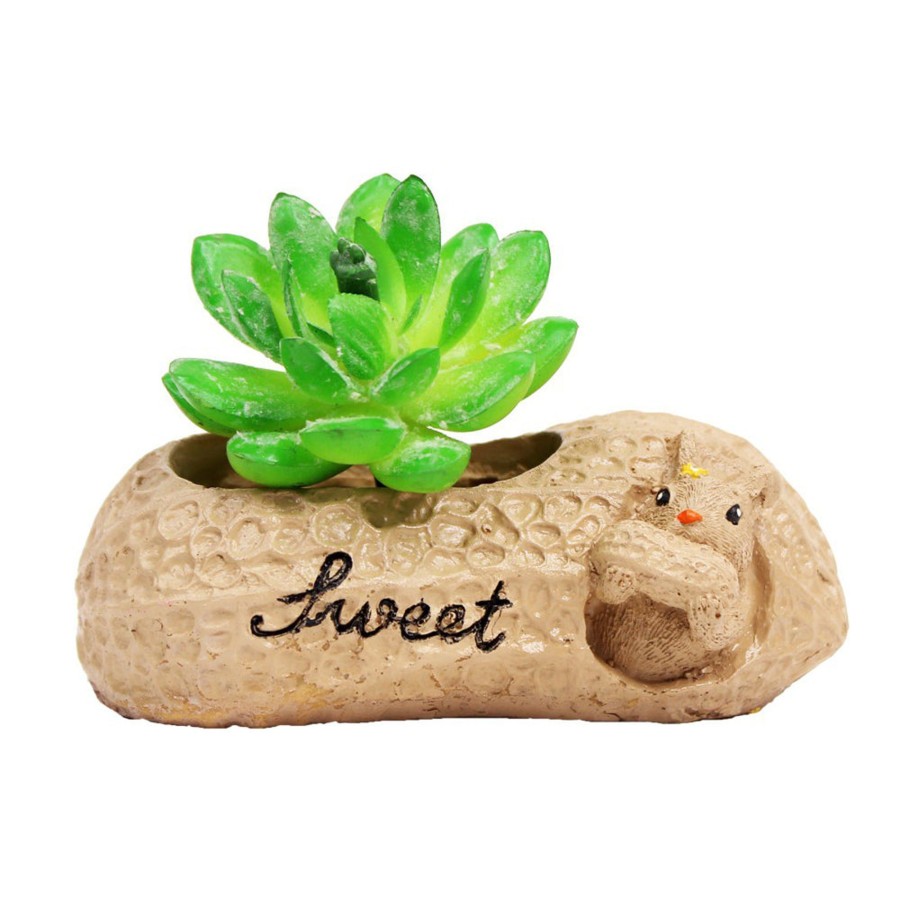 Garden Planters Wonderland | Peanut Succulent Pot For Home And Garden Decoration