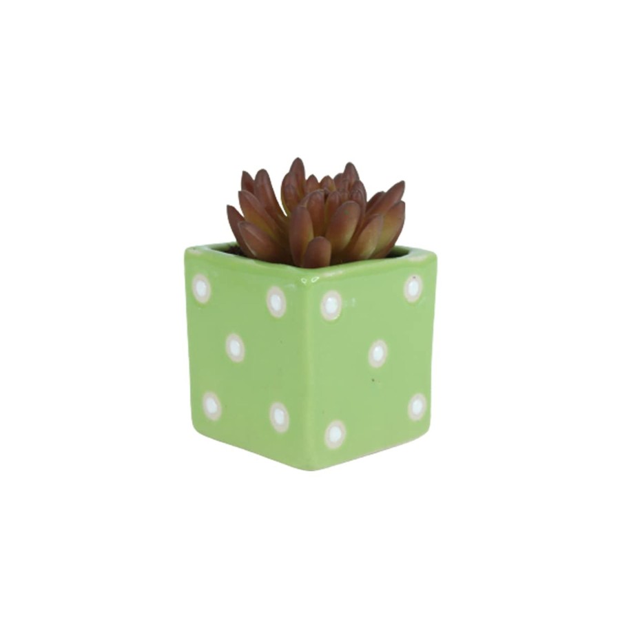 Garden Planters Wonderland Garden Arts and Craft | Ceramic Planters Small Square Dice Pot (Green)