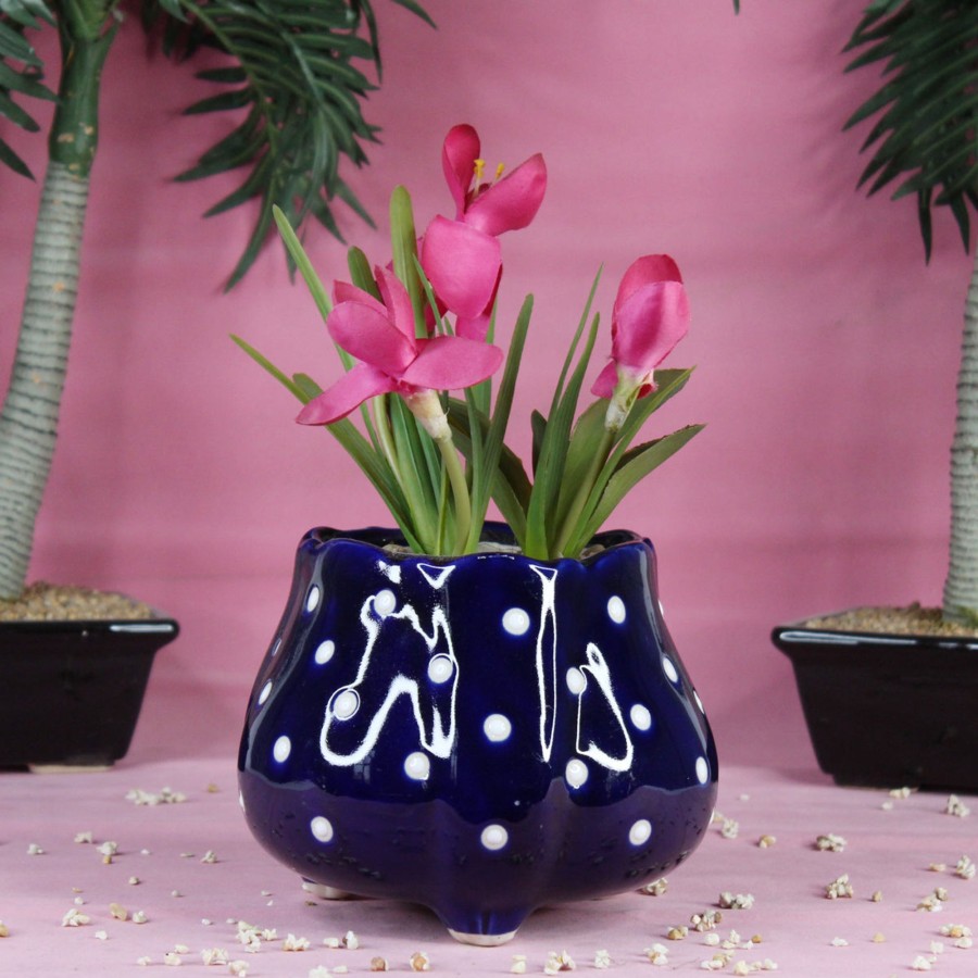 Garden Planters Wonderland | Ceramic Big Flower Shape Pot (Blue)