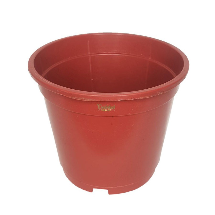 Garden Planters Wonderland | 8 Inch Set Of 4 Plastic Pots For Outdoor ( Plastic Pots For Home Plants) (Terracotta)