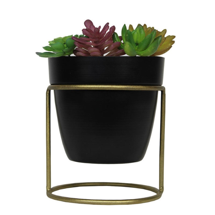 Garden Planters Wonderland | 5.5 Inch Table Top Pot With Stand For Home Decoration (Black)